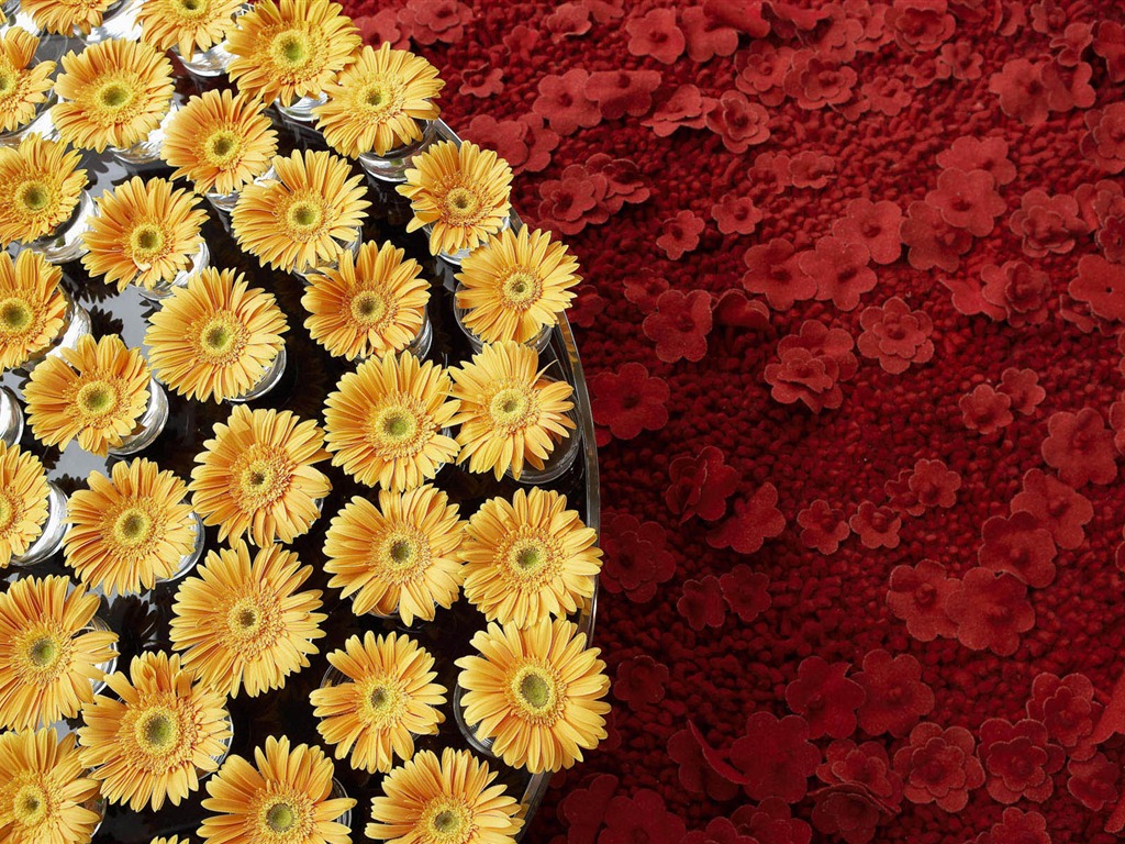 fleurs fond d'écran Widescreen close-up #21 - 1024x768