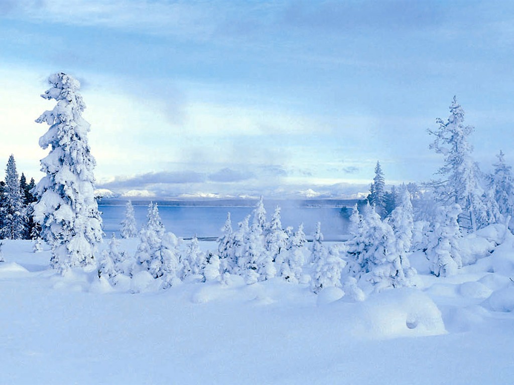 fondos de escritorio de alta definición de invierno la nieve fresca escena #33 - 1024x768