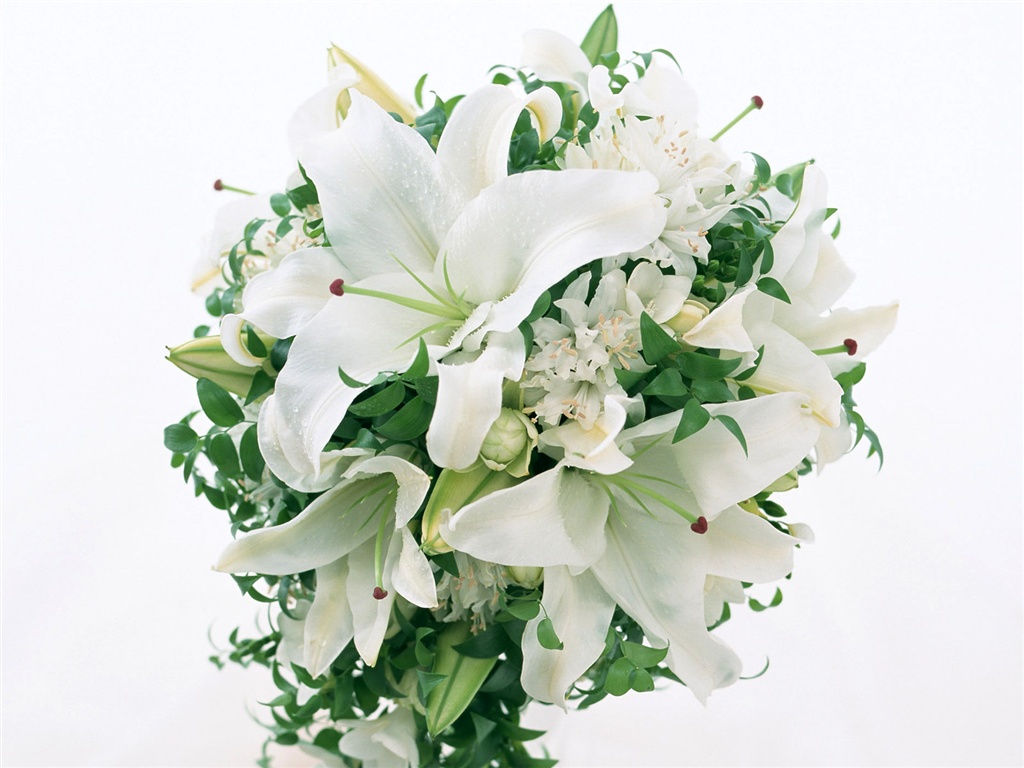 눈같이 흰 꽃 벽지 #5 - 1024x768