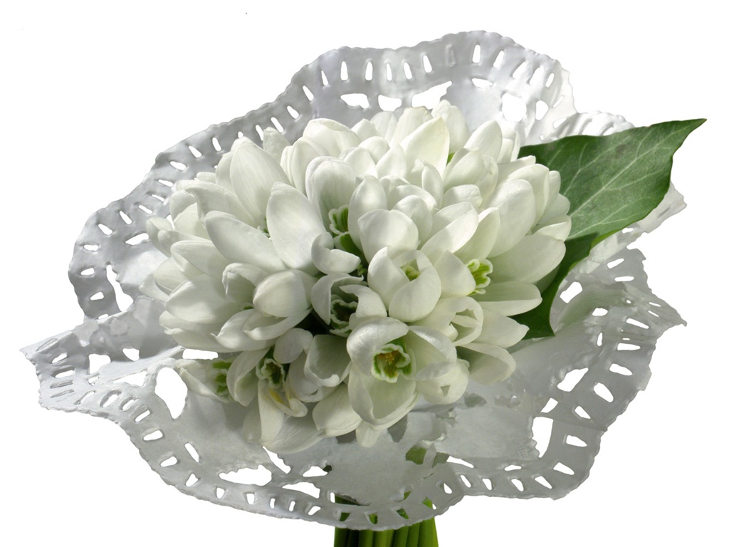 Blanche-Neige fond d'écran fleurs #8 - 1024x768