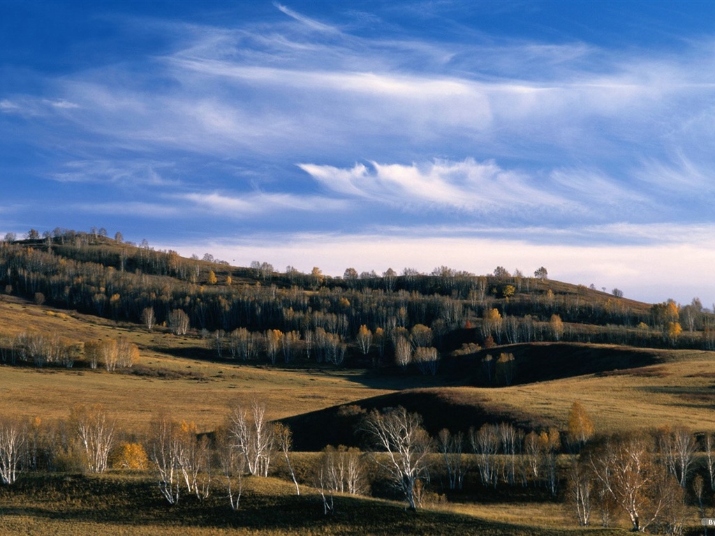 El fondo de pantalla bosque del otoño #32 - 1024x768