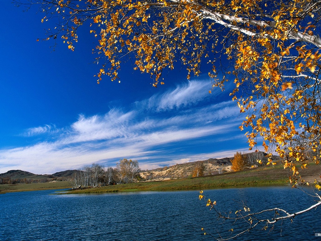 El fondo de pantalla bosque del otoño #36 - 1024x768