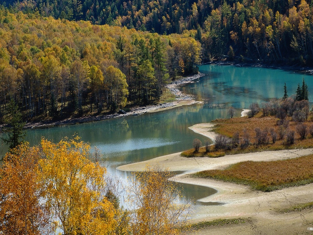 El fondo de pantalla bosque del otoño #43 - 1024x768