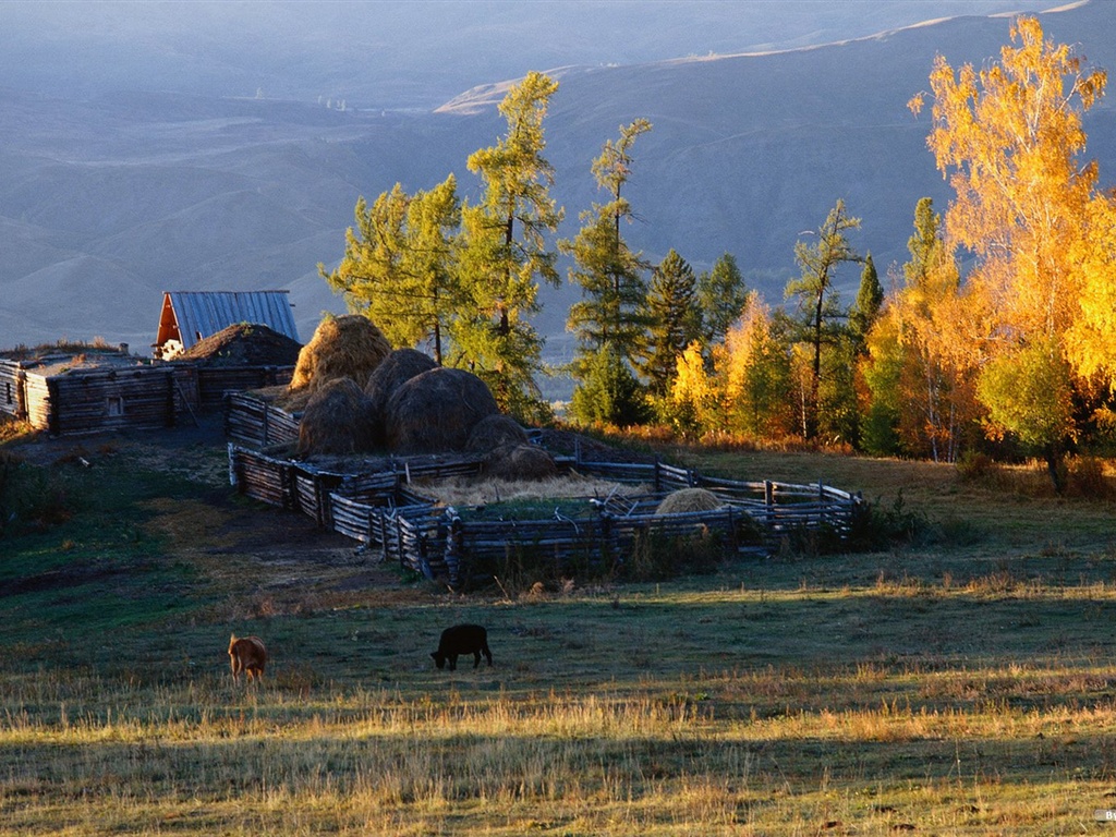 El fondo de pantalla bosque del otoño #45 - 1024x768