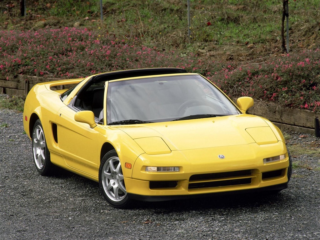 Honda NSX Type Tapete #9 - 1024x768