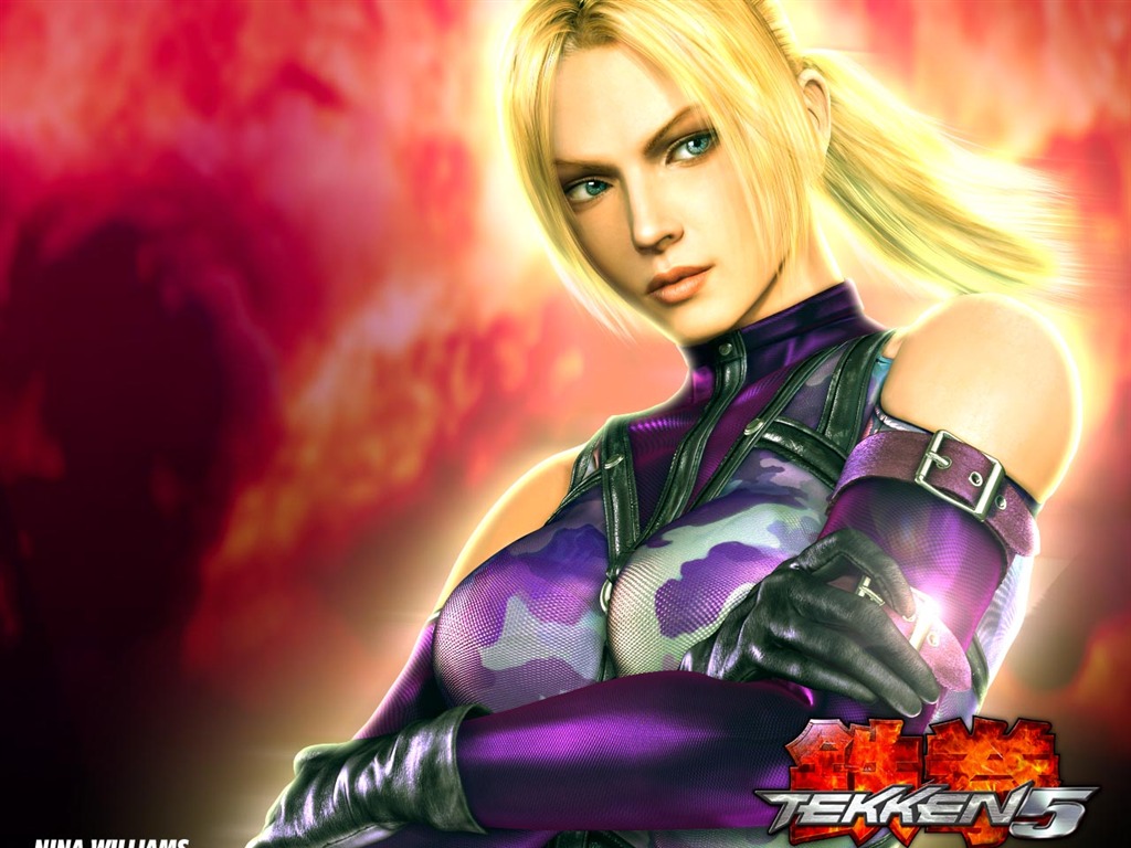 Tekken wallpaper album (3) #23 - 1024x768