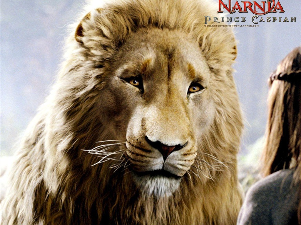 Le Monde de Narnia 2: Prince Caspian #5 - 1024x768