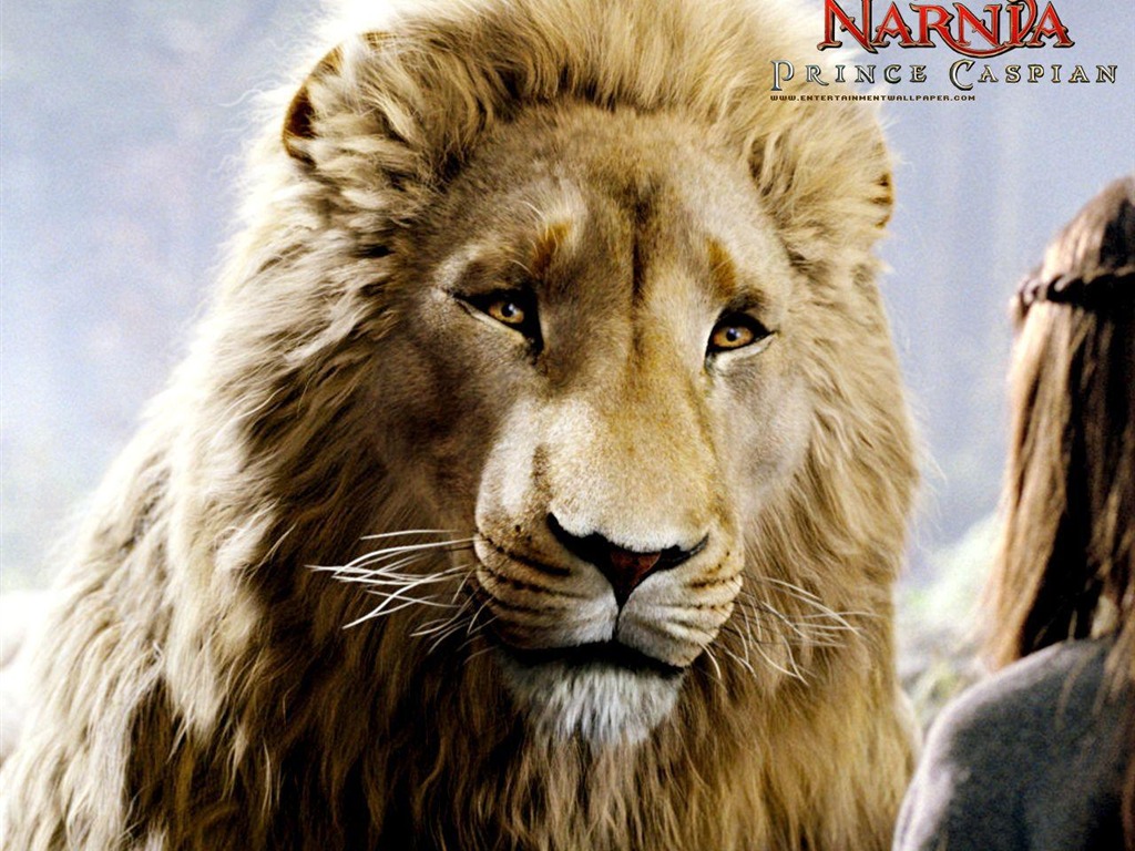 Letopisy Narnie 2: Princ Kaspian #5 - 1024x768
