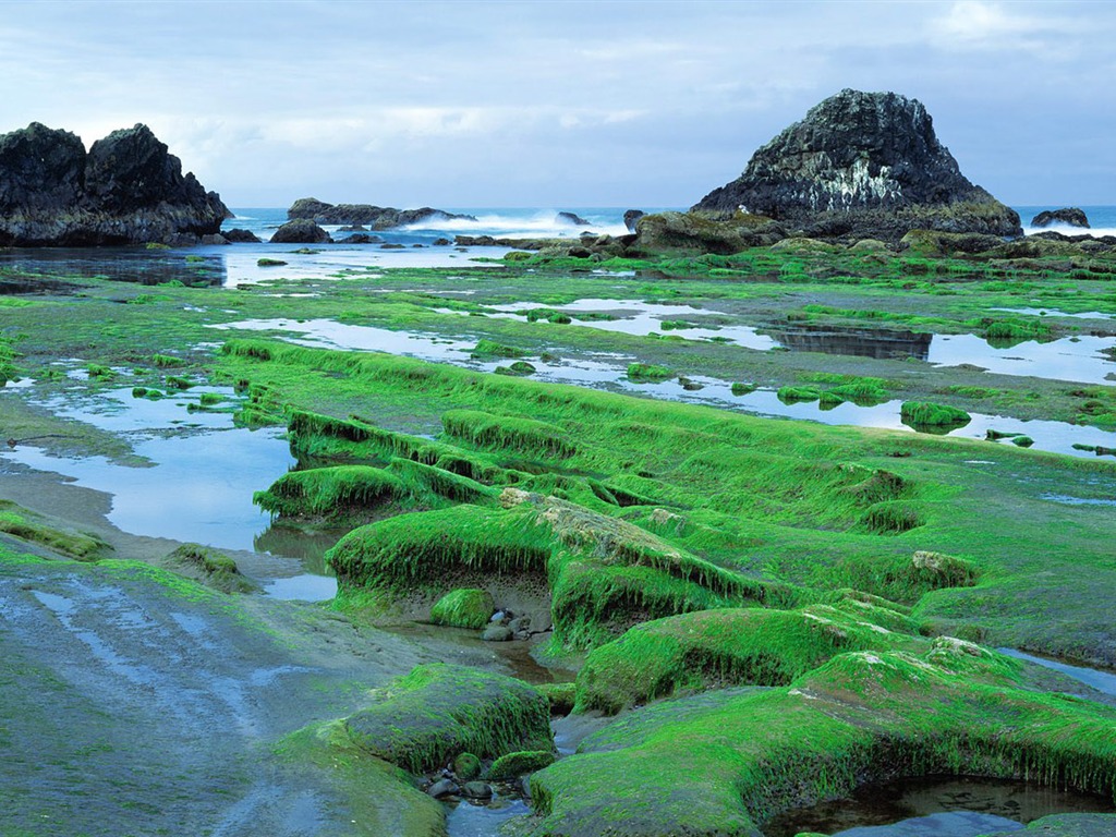 fonds d'écran un beau paysage naturel (1) #5 - 1024x768