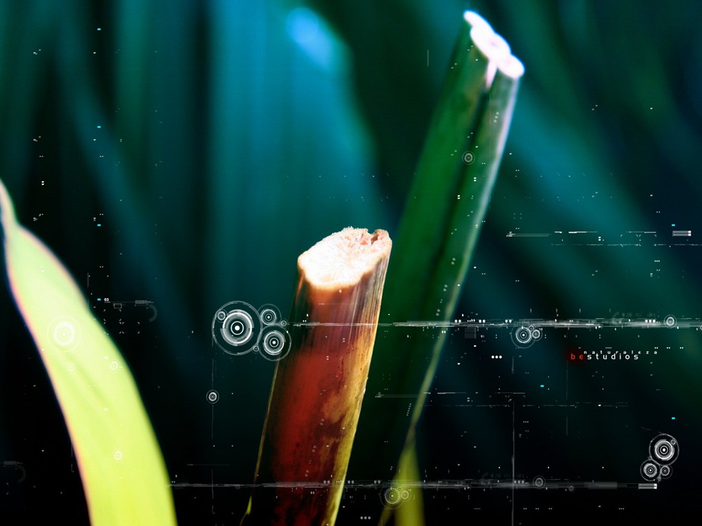 抽象視覺CG壁紙 #34 - 1024x768