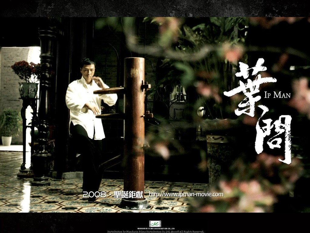 葉問影視壁紙 #1 - 1024x768