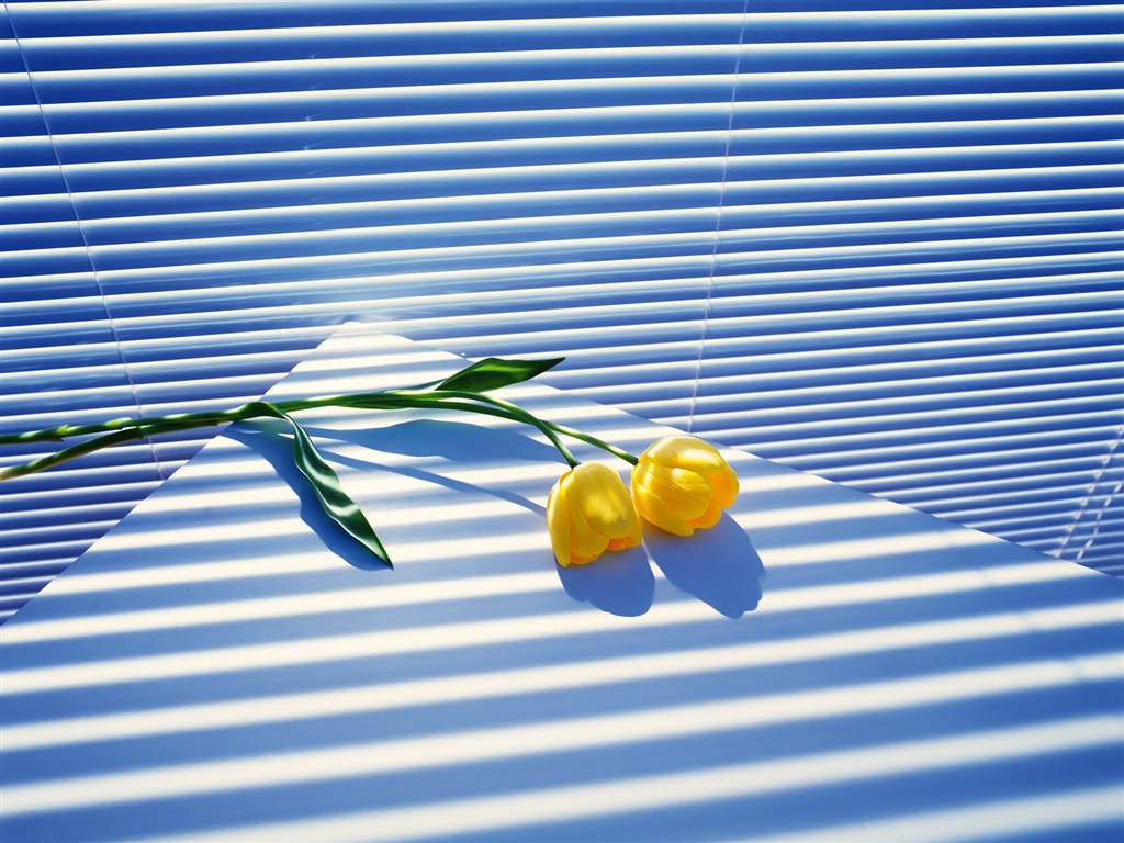 Vnitřní Still Life Wallpaper Album (1) #5 - 1024x768