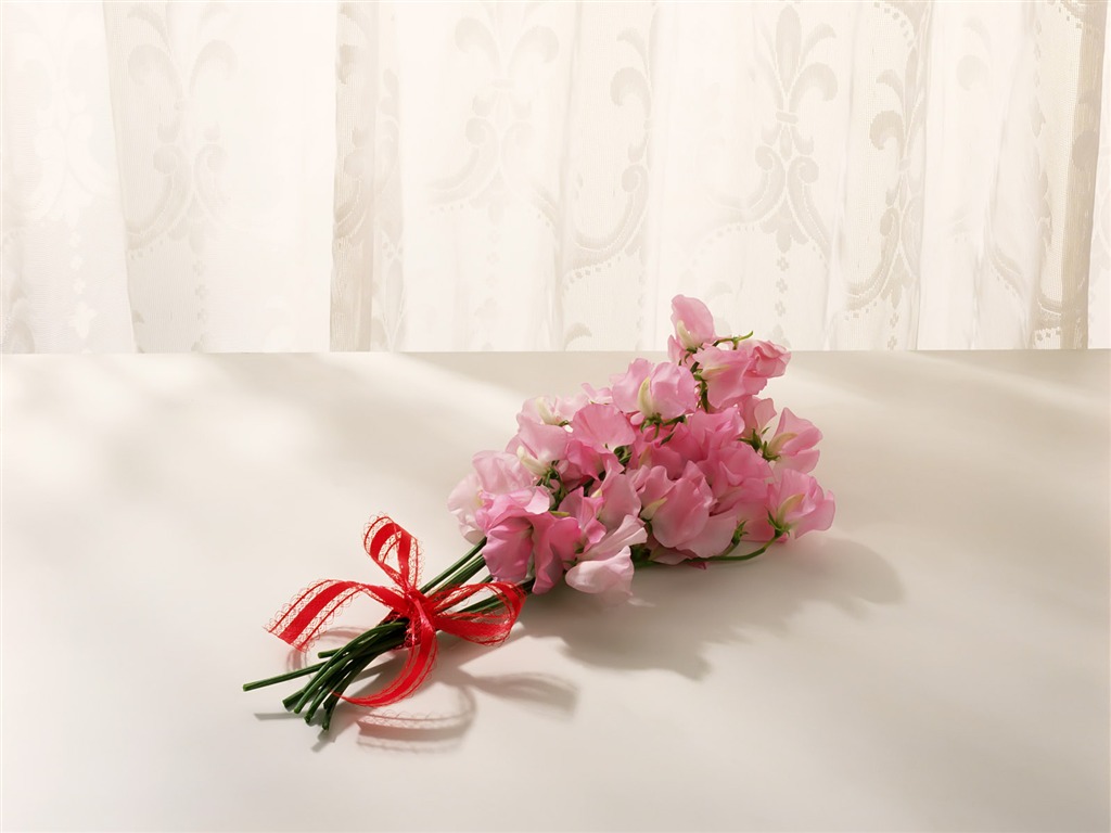 Vnitřní Still Life Wallpaper Album (1) #6 - 1024x768