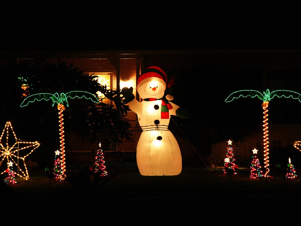 jardinería Navidad fondos de escritorio de la serie (18) #3 - 1024x768