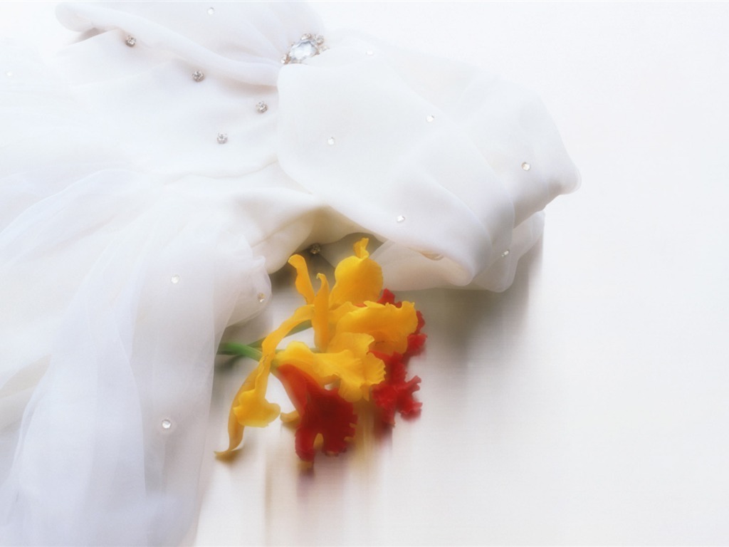 婚慶鮮花物品壁紙(一) #13 - 1024x768