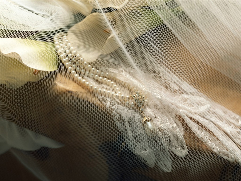 婚慶鮮花物品壁紙(二) #13 - 1024x768