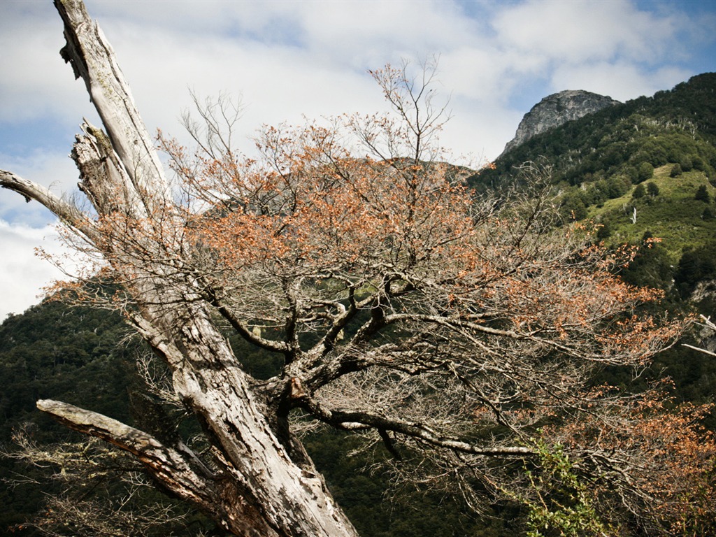 Patagonia 自然風光壁紙 #20 - 1024x768