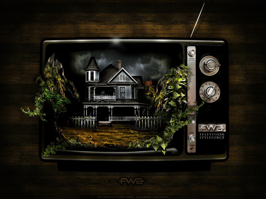 Širokoúhlé tapety FWA Album (7) #6 - 1024x768