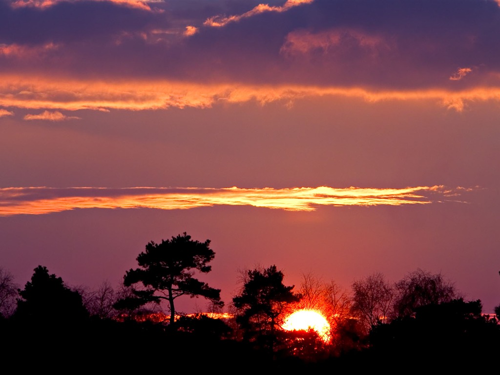 záře slunce HD skvělé tapety (1) #26 - 1024x768