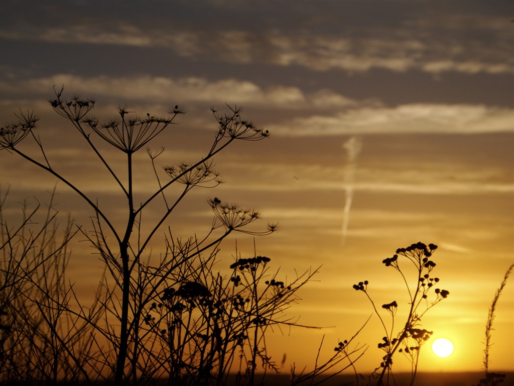 Glow du coucher du soleil HD Wallpaper exquise (1) #30 - 1024x768