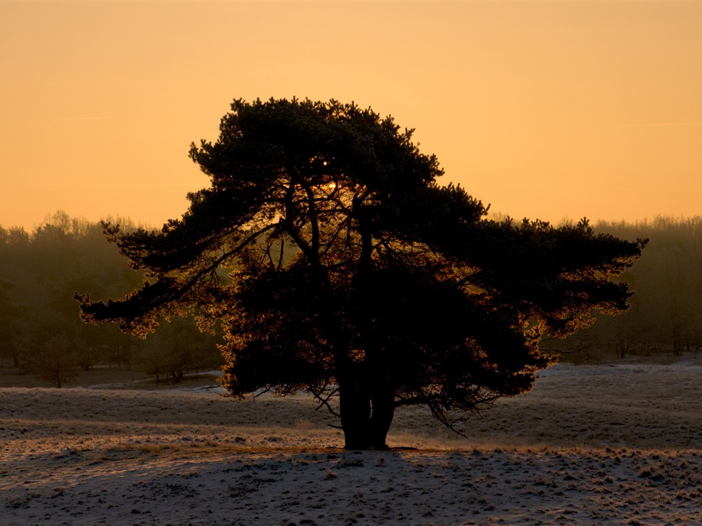 Glow du coucher du soleil HD Wallpaper exquise (1) #36 - 1024x768