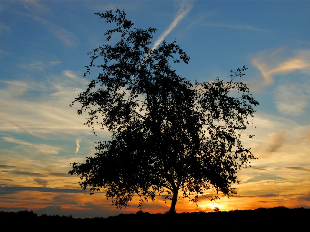 záře slunce HD skvělé tapety (1) #38 - 1024x768