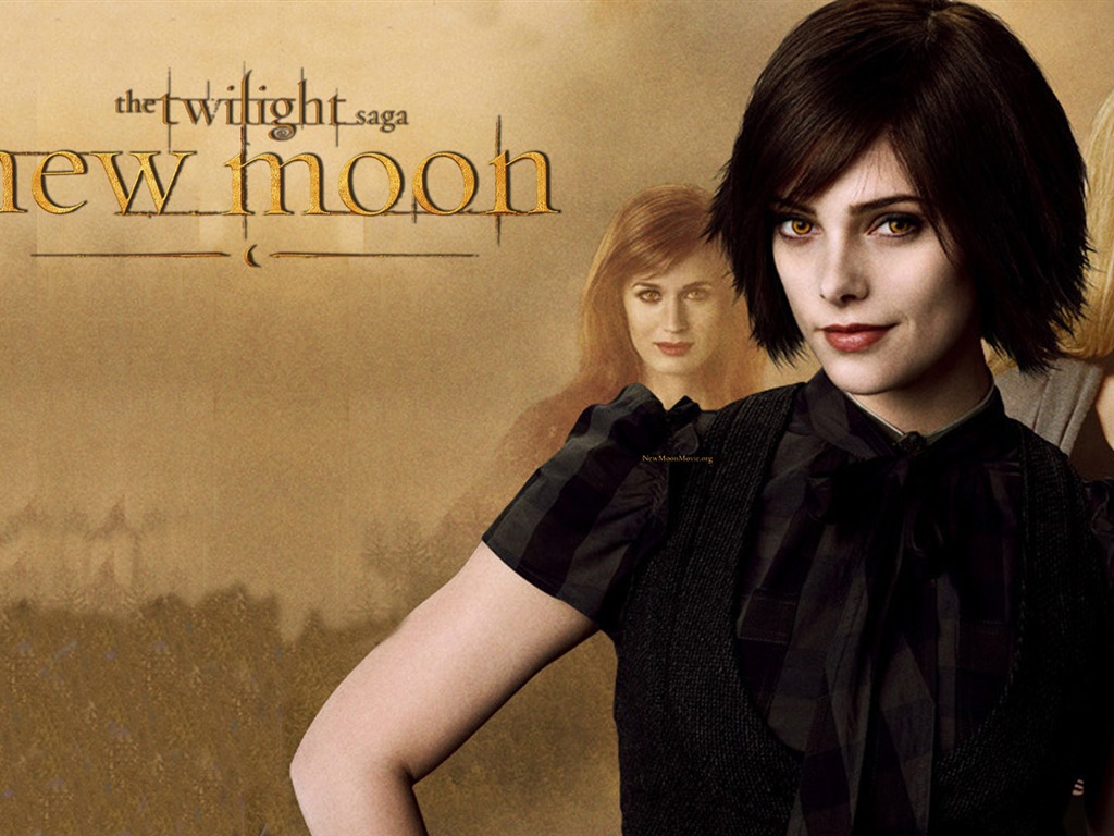 Saga Twilight: New Moon wallpaper album (1) #7 - 1024x768