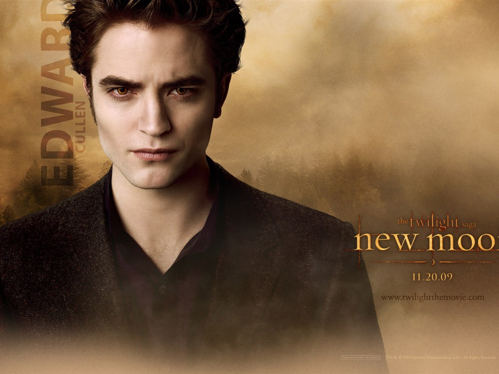 Saga Twilight: New Moon wallpaper album (1) #8 - 1024x768