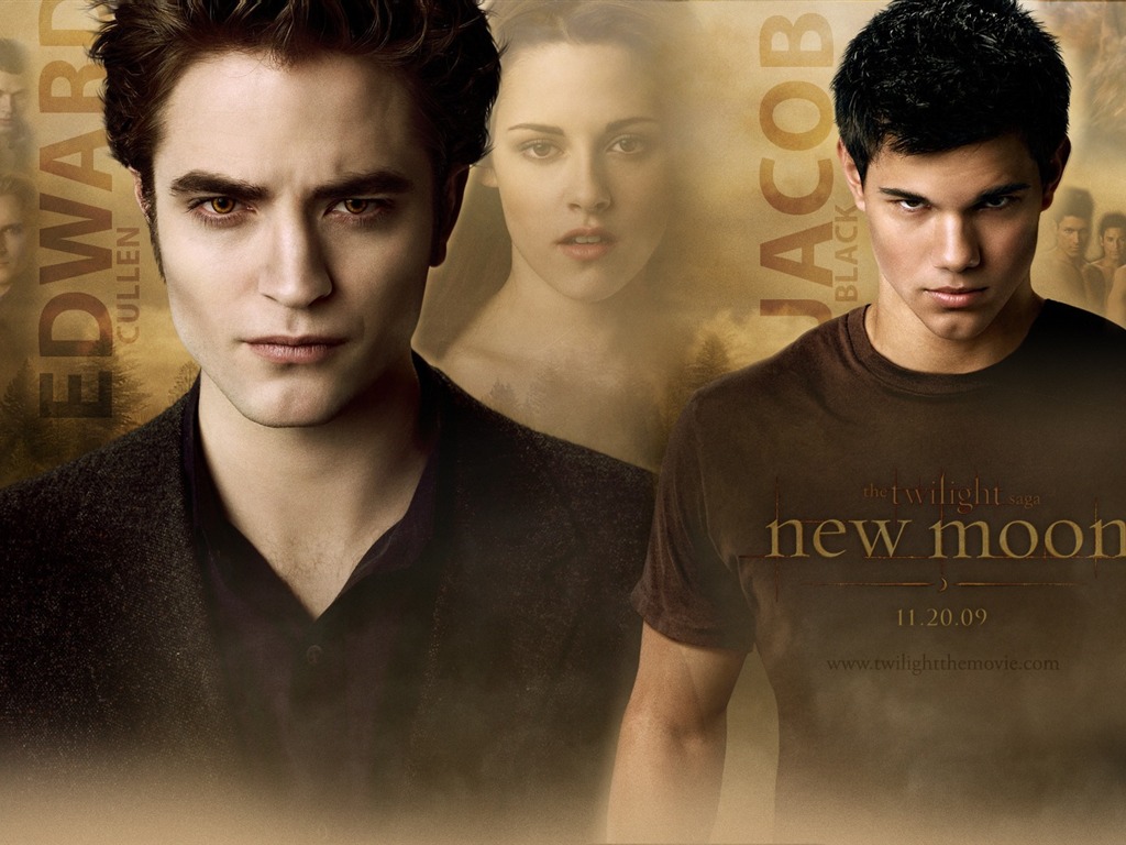 Saga Twilight: New Moon wallpaper album (1) #10 - 1024x768