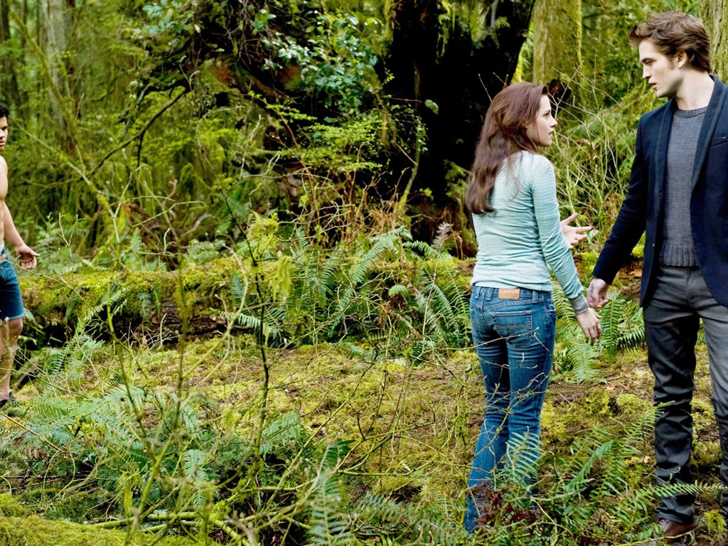 The Twilight Saga: New Moon Wallpaper Album (2) #19 - 1024x768