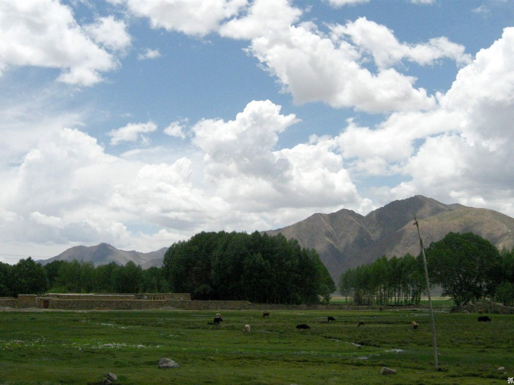 Tibet Landschaft Tapeten Alben #12 - 1024x768