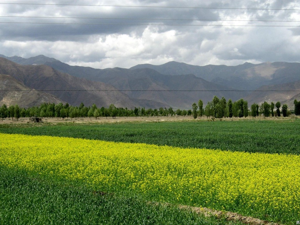 Tibet Landschaft Tapeten Alben #17 - 1024x768