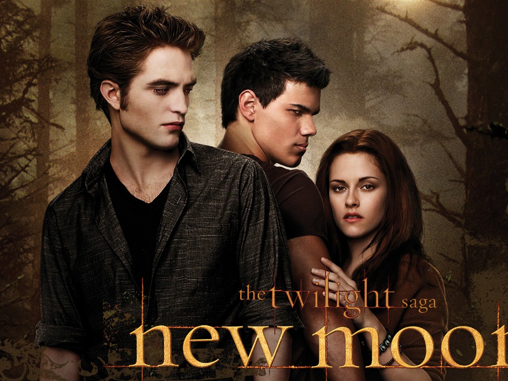 Saga Twilight: New Moon wallpaper album (4) #2 - 1024x768