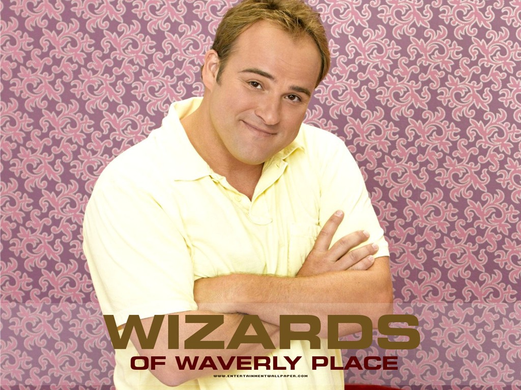 Wizards of Waverly Place fondo de pantalla #15 - 1024x768