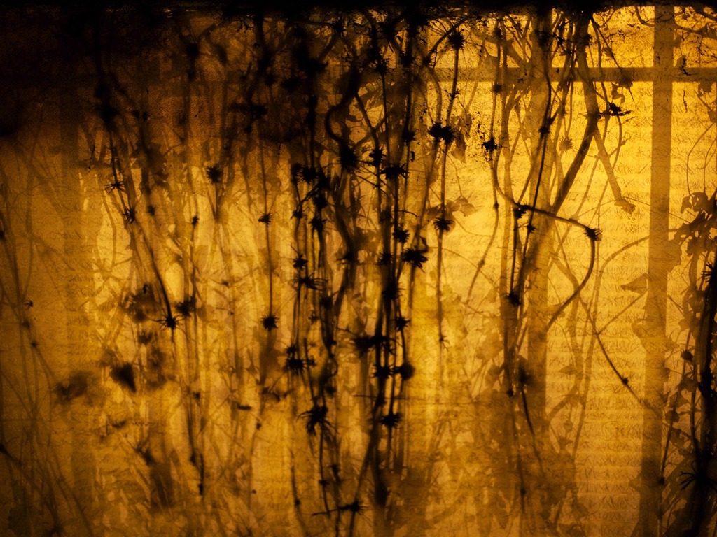 s rytmem přírodní scenérie tapety #14 - 1024x768