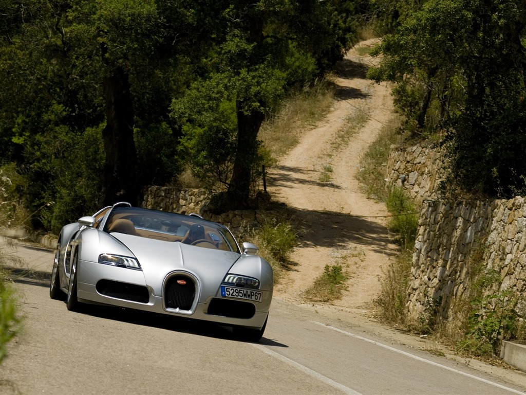 Bugatti Veyron 布加迪威龙 壁纸专辑(一)13 - 1024x768