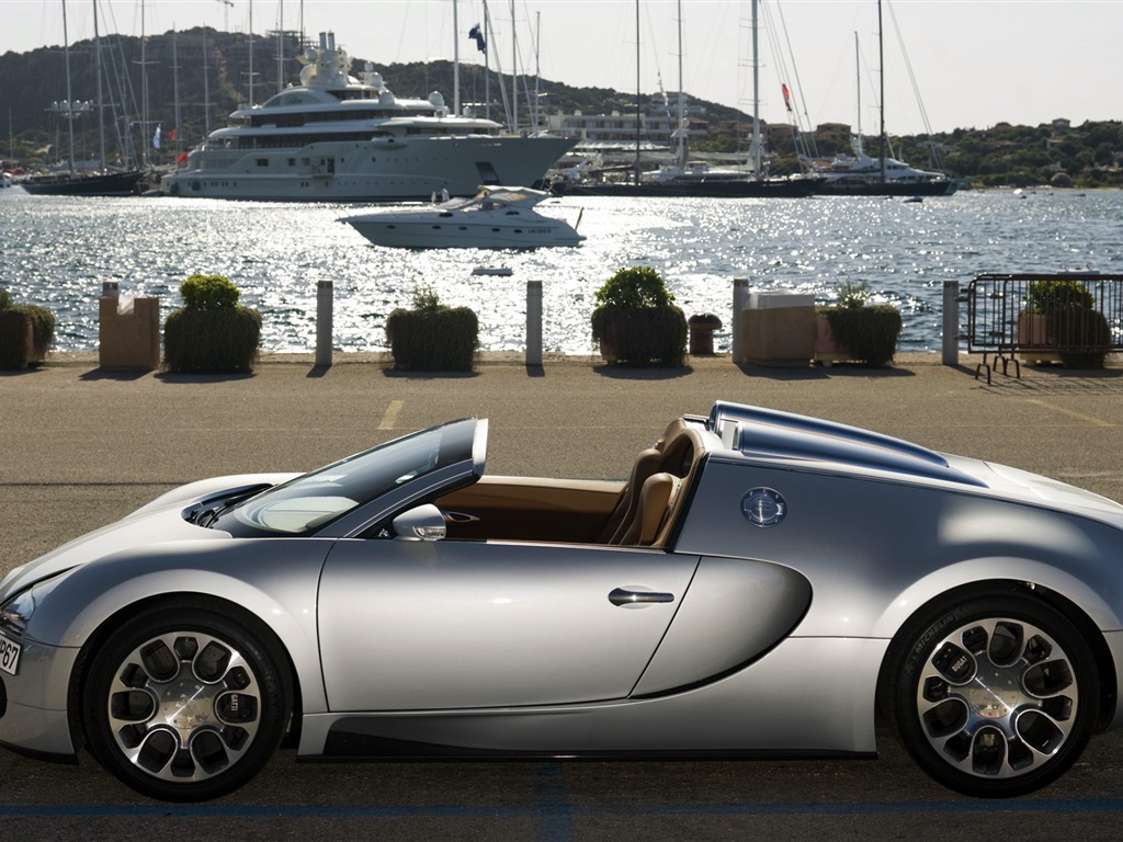 Bugatti Veyron 布加迪威龙 壁纸专辑(一)14 - 1024x768