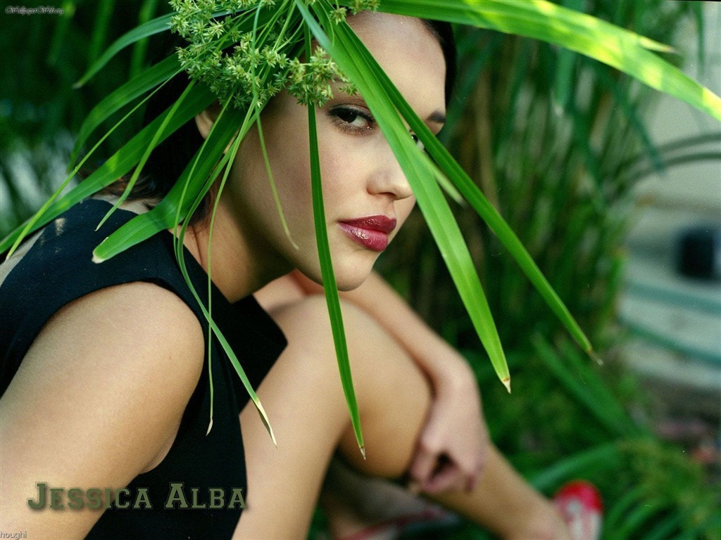 Jessica Alba krásnou tapetu (3) #13 - 1024x768