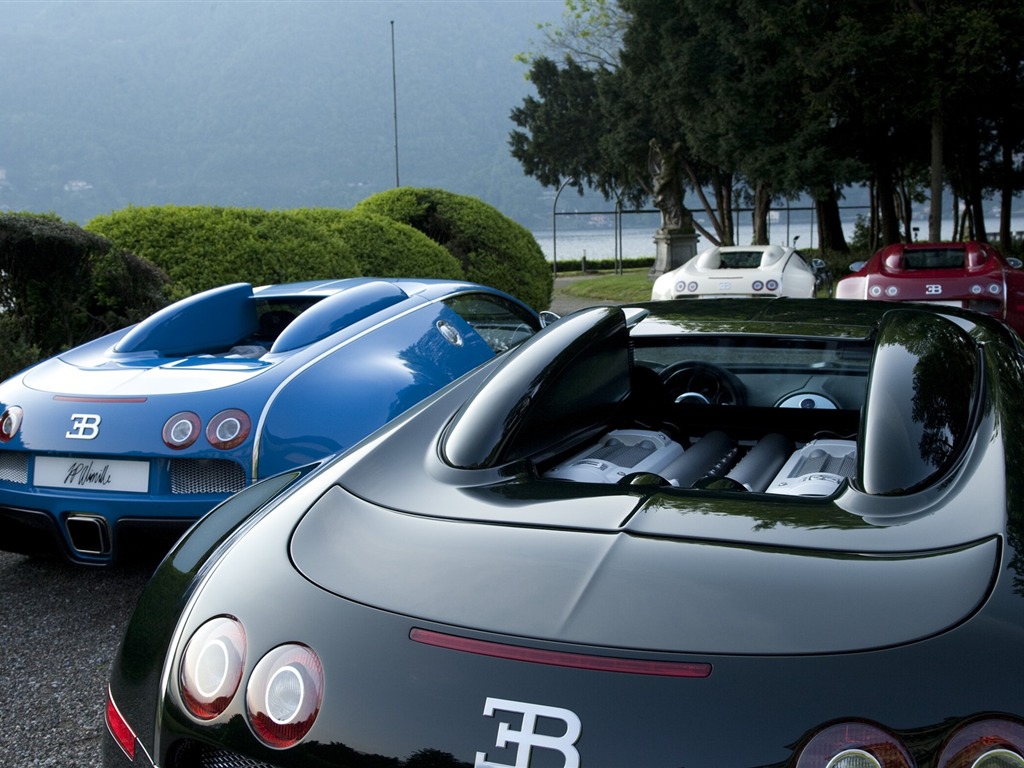 Bugatti Veyron 布加迪威龙 壁纸专辑(二)15 - 1024x768