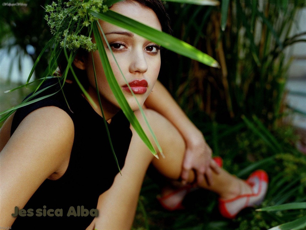 Jessica Alba krásnou tapetu (3) #1 - 1024x768
