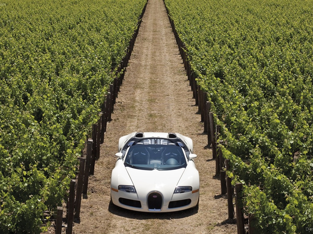Album Bugatti Veyron Fond d'écran (3) #3 - 1024x768