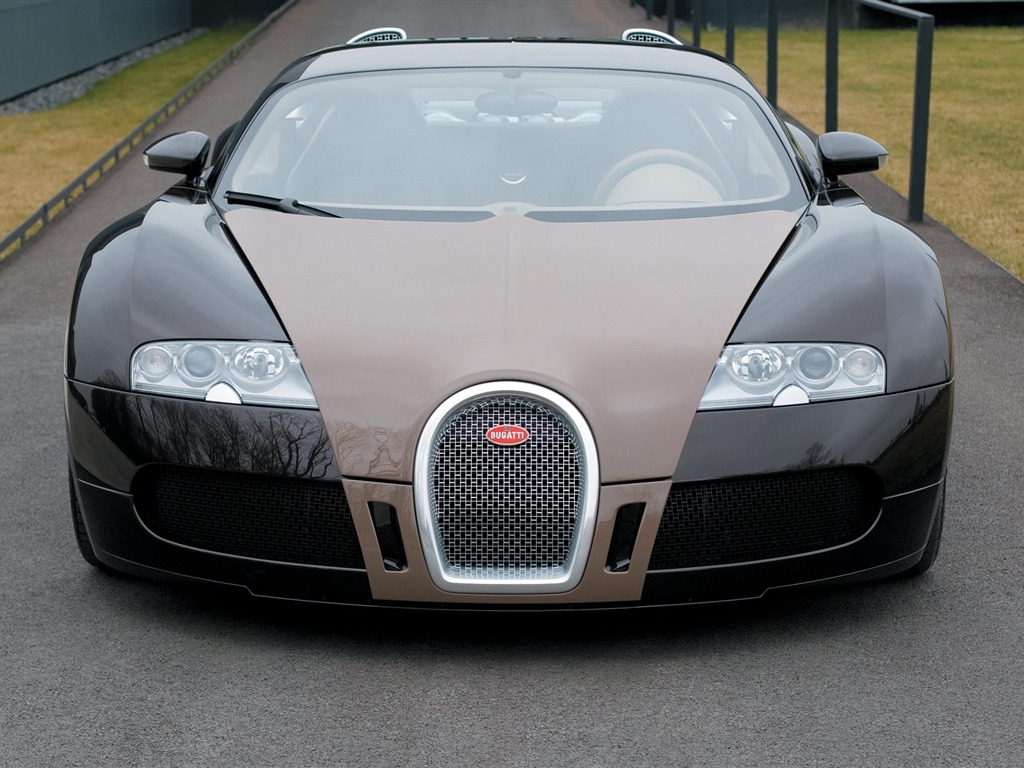 Album Bugatti Veyron Fond d'écran (3) #8 - 1024x768