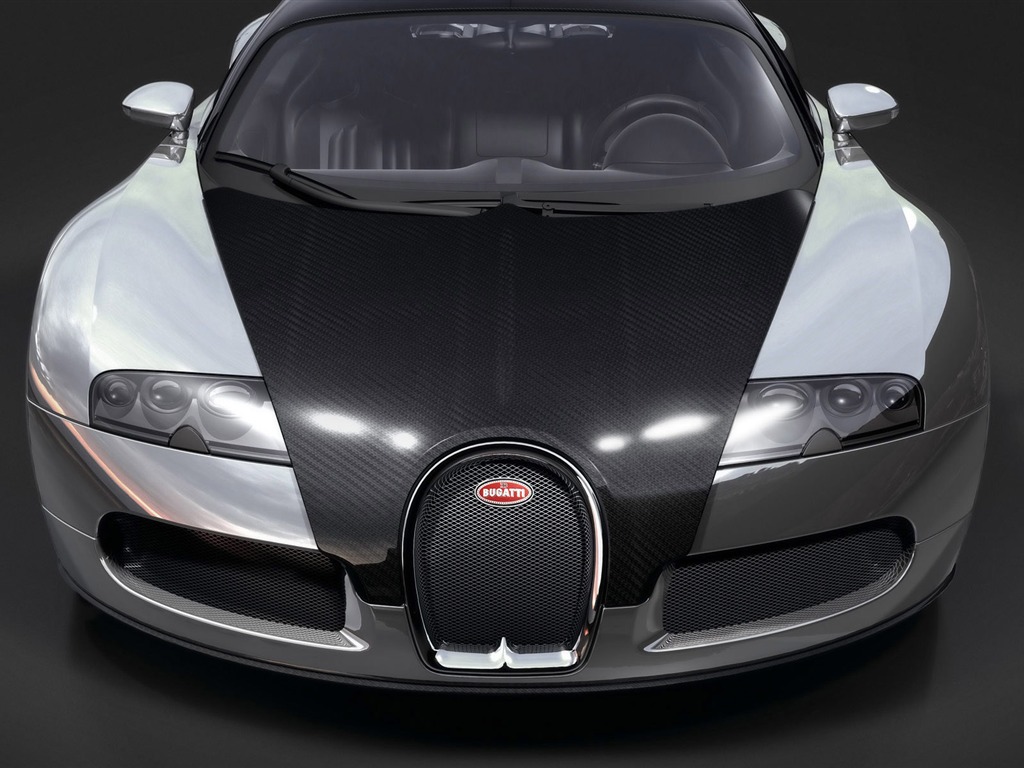 Bugatti Veyron Wallpaper Album (3) #15 - 1024x768