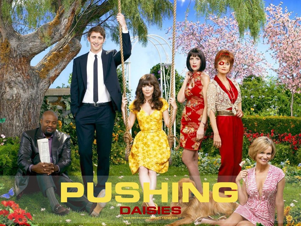 Pushing Daisies 靈指神探 #1 - 1024x768