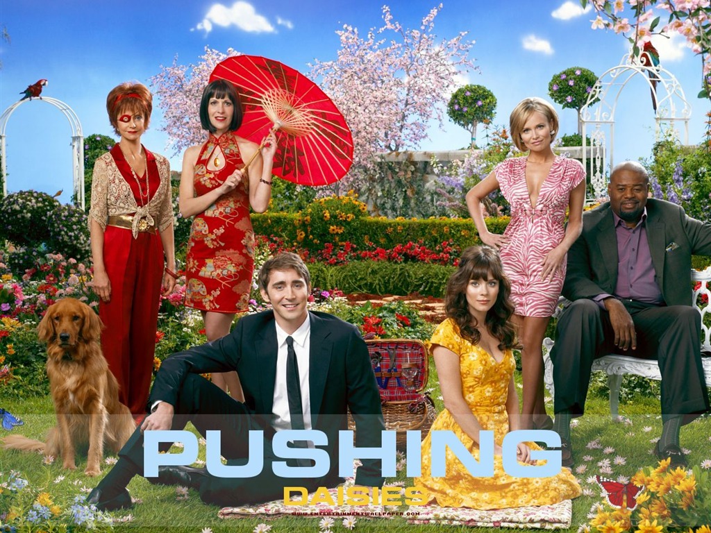 Pushing Daisies 靈指神探 #3 - 1024x768