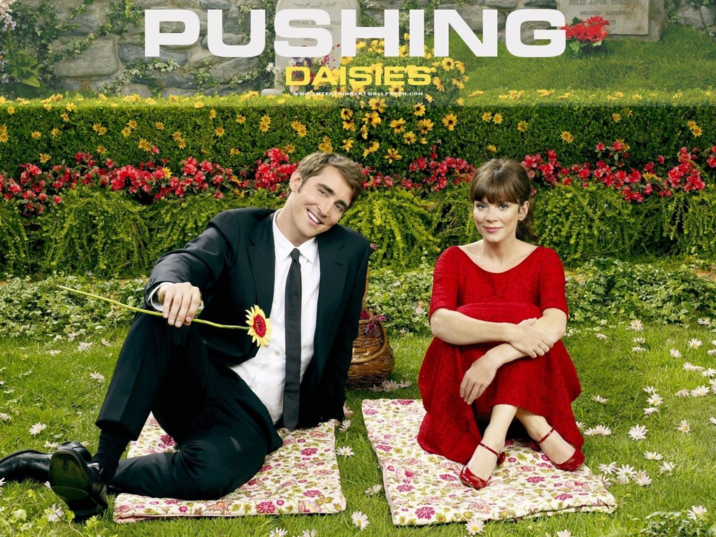 Pushing Daisies 靈指神探 #4 - 1024x768