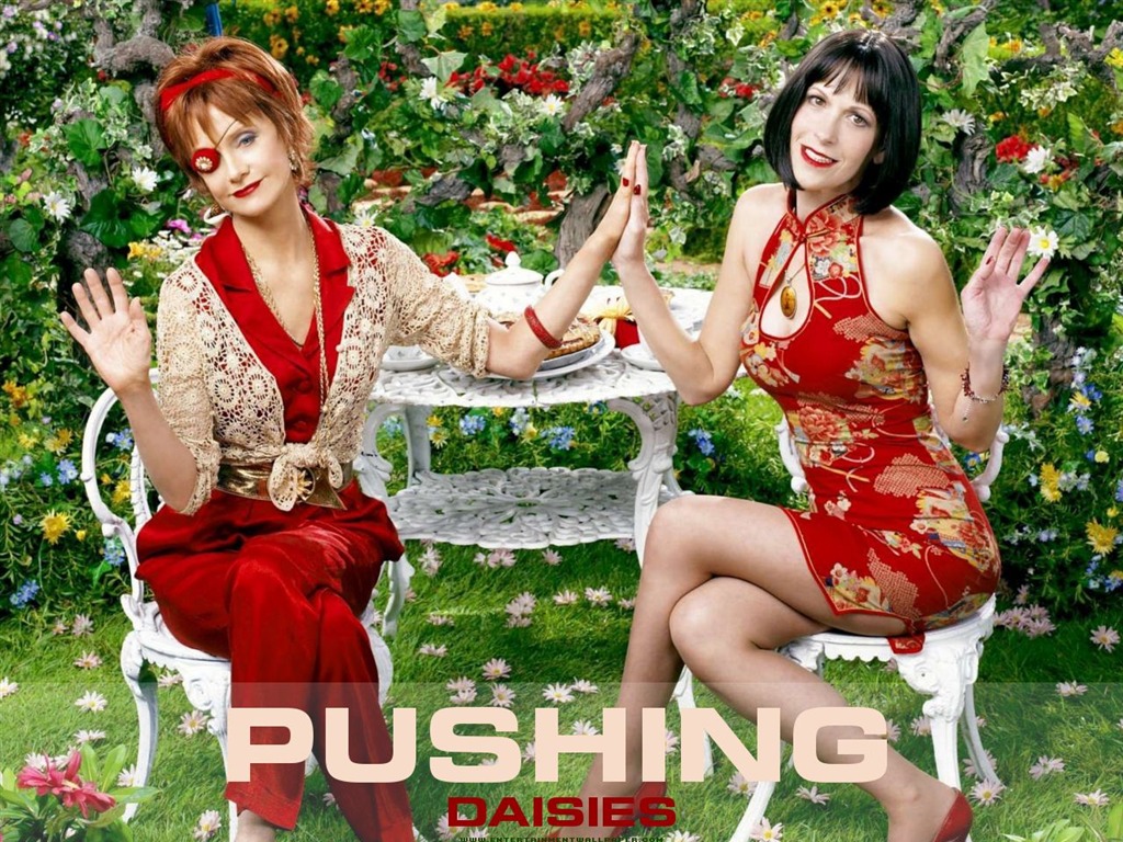 Pushing Daisies 灵指神探5 - 1024x768