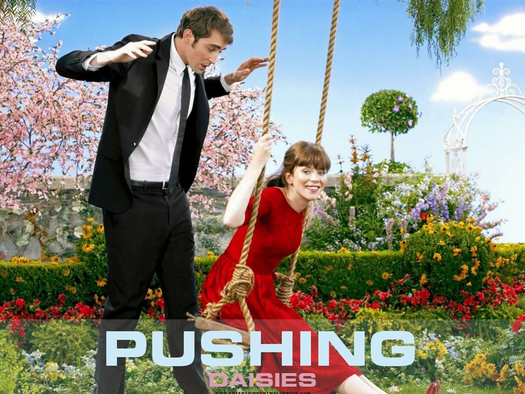 Pushing Daisies Tapete #6 - 1024x768