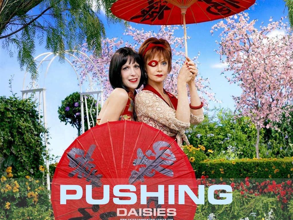 Pushing Daisies 靈指神探 #7 - 1024x768