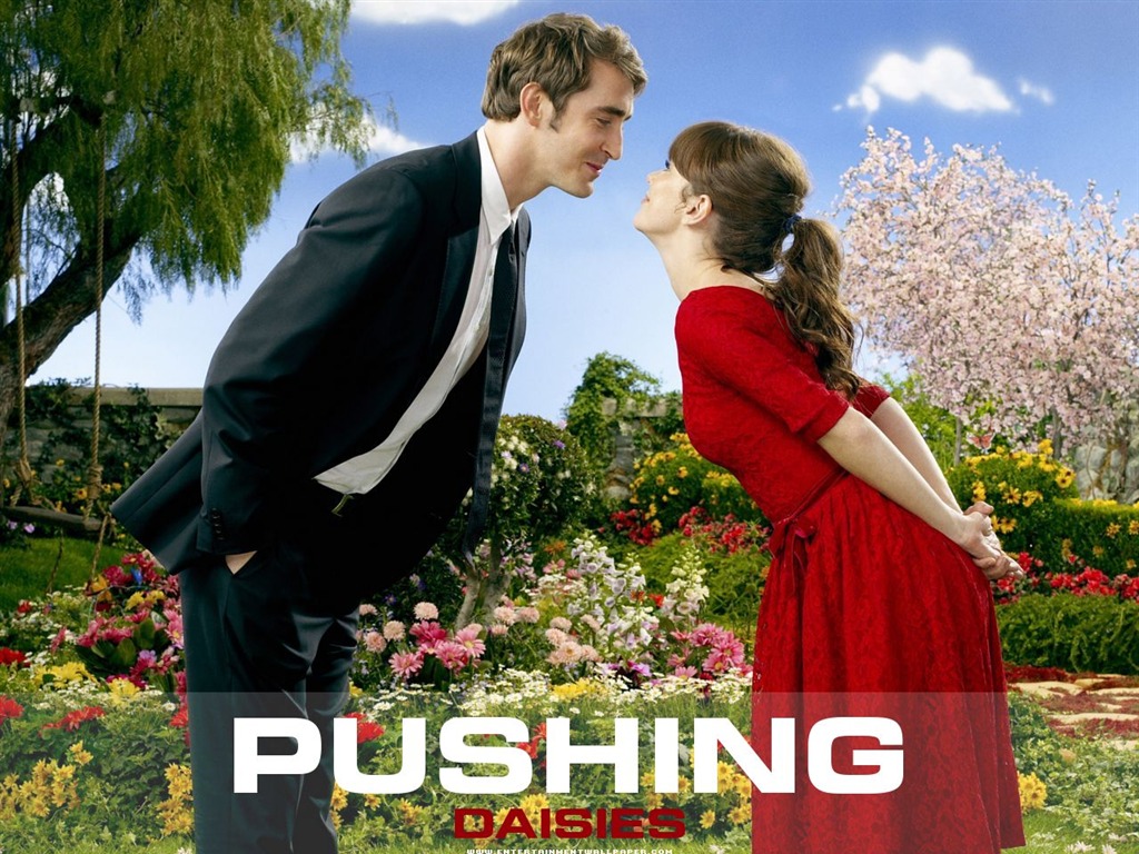 Pushing Daisies 靈指神探 #8 - 1024x768